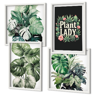 Set 4 slik v okvirju Tropske rastline Plant Lady