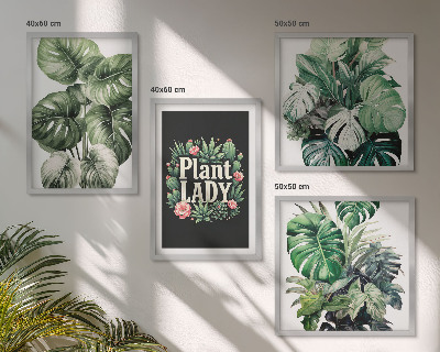 Set 4 slik v okvirju Tropske rastline Plant Lady