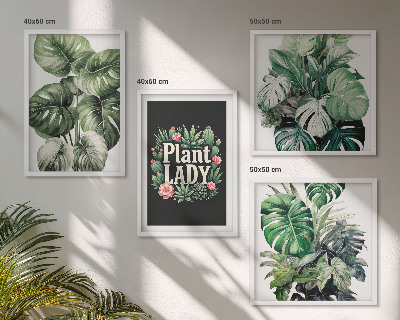 Set 4 slik v okvirju Tropske rastline Plant Lady