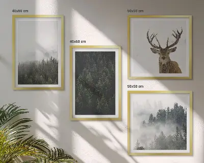 Pripravljena stenska galerija zeleni gozdovi z megleno pokrajino