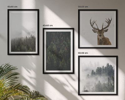 Pripravljena stenska galerija Zeleni gozdovi, meglena pokrajina