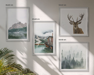 Set 4 slik v okvirju Gore, jezero, jeleni, koča, megla