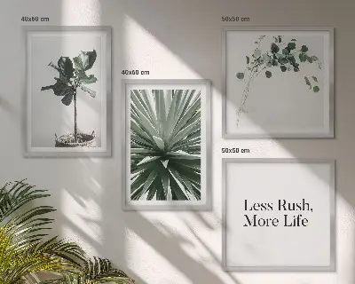 Set 4 slik v okvirju z motivom minimalizma zelenih rastlin