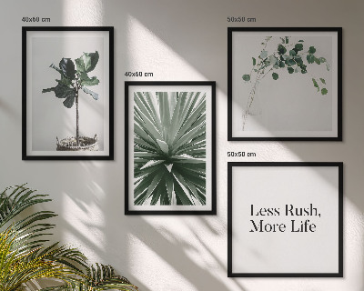 Set 4 slik v okvirju Minimalizem zelenih rastlin