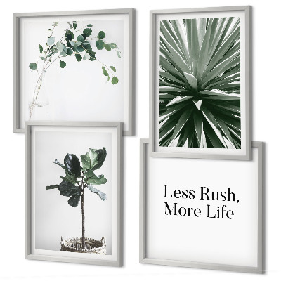 Set 4 slik v okvirju Minimalizem zelenih rastlin