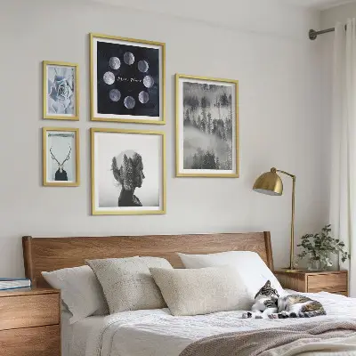 Komplet 5 slik v okvirju z motivi naravnega gozdnega prostora