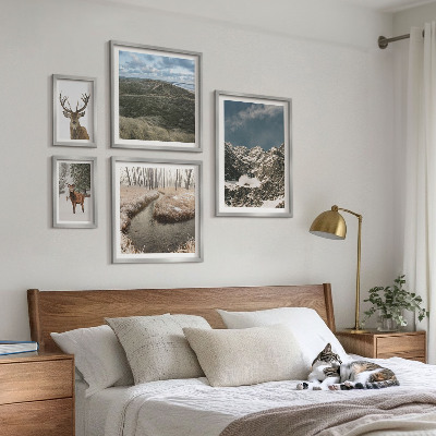 Set 5 slik v okvirju Divja narava veličastnih gora