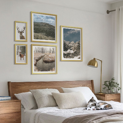 Set 5 slik v okvirju Divja narava veličastnih gora