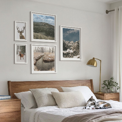 Set 5 slik v okvirju Divja narava veličastnih gora