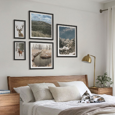 Set 5 slik v okvirju Divja narava veličastnih gora