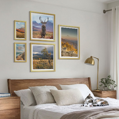 Komplet ujemajočih se slik Gorske pokrajine divjih živali
