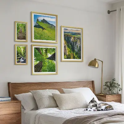 Komplet 5 slik v okvirju zelene pokrajine z naravnimi potmi