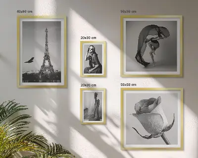 Poliptih v okvirju eleganten črno-beli motiv Pariza