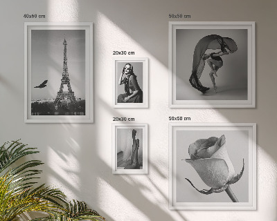 Poliptih v okvirju Eleganten črno-beli Pariz