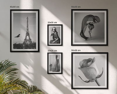 Poliptih v okvirju Eleganten črno-beli Pariz