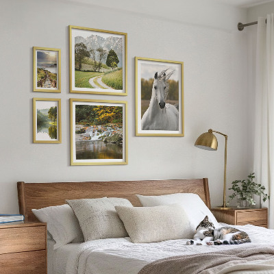 Set 5 slik v okvirju Pokrajine Pokrajine Konj