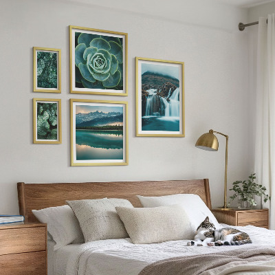 Set 5 slik v okvirju Zelene rastline slapovi narava
