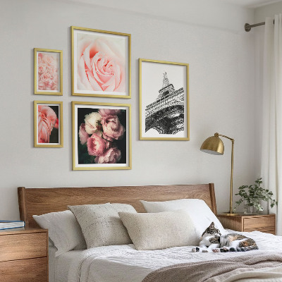 Set 5 slik v okvirju Romantika vrtnic Eifflovega stolpa