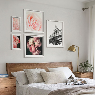 Set 5 slik v okvirju Romantika vrtnic Eifflovega stolpa