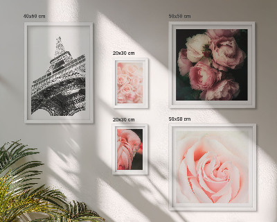 Set 5 slik v okvirju Romantika vrtnic Eifflovega stolpa