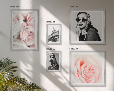 Set 5 slik v okvirju Elegantni portreti vrtnic
