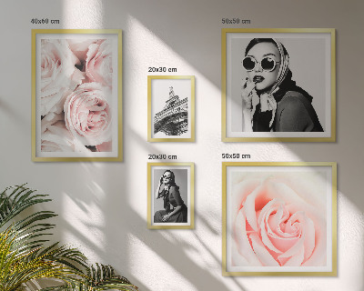 Set 5 slik v okvirju Elegantni portreti vrtnic