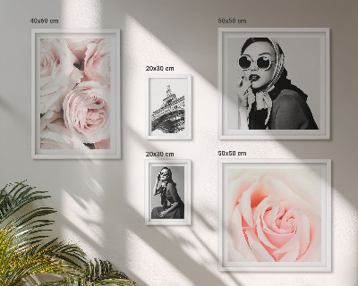 Set 5 slik v okvirju Elegantni portreti vrtnic