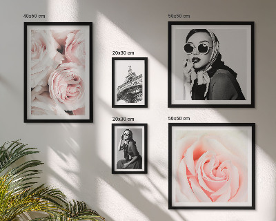 Set 5 slik v okvirju Elegantni portreti vrtnic