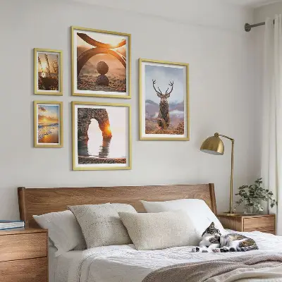 Narava divjih živali v harmoniji komplet 5 slik v okvirju