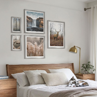 Set 5 slik v okvirju Pokrajine divjih živali