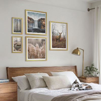 Set 5 slik v okvirju Pokrajine divjih živali