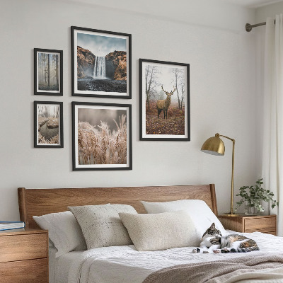 Set 5 slik v okvirju Pokrajine divjih živali