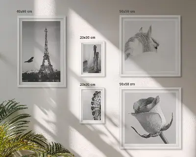 Elegantne črno-bele slike komplet ujemajočih se motivov