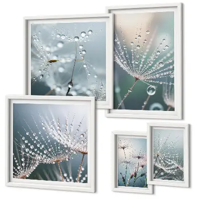Minimalistične rastline Dewdrops komplet 5 slik v okvirju