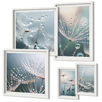 Set 5 slik v okvirju Minimalistične rastline Dewdrops