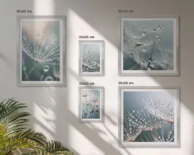 Minimalistične rastline Dewdrops komplet 5 slik v okvirju