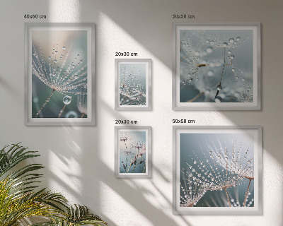 Set 5 slik v okvirju Minimalistične rastline Dewdrops