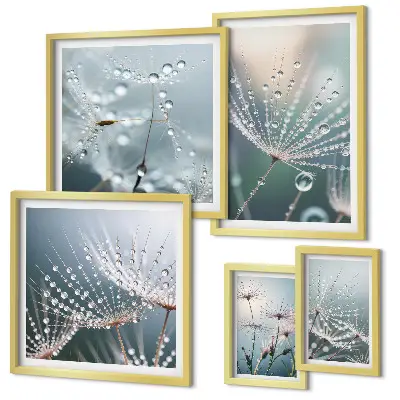 Minimalistične rastline Dewdrops komplet 5 slik v okvirju