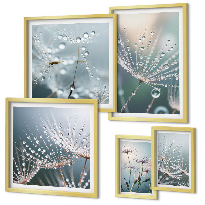 Set 5 slik v okvirju Minimalistične rastline Dewdrops