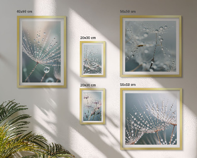 Set 5 slik v okvirju Minimalistične rastline Dewdrops