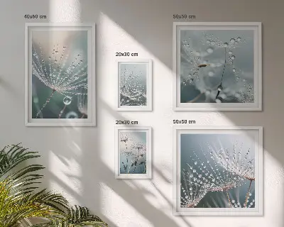 Minimalistične rastline Dewdrops komplet 5 slik v okvirju