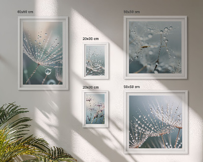 Set 5 slik v okvirju Minimalistične rastline Dewdrops