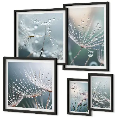 Minimalistične rastline Dewdrops komplet 5 slik v okvirju