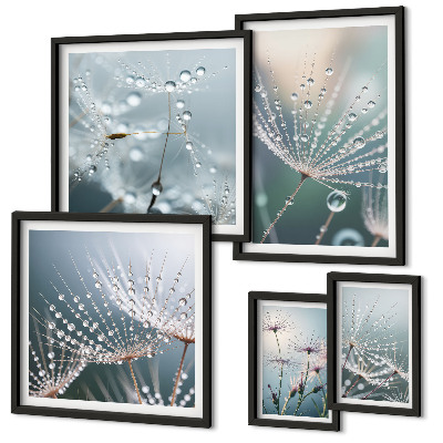 Set 5 slik v okvirju Minimalistične rastline Dewdrops