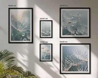 Minimalistične rastline Dewdrops komplet 5 slik v okvirju