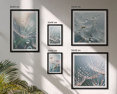 Set 5 slik v okvirju Minimalistične rastline Dewdrops