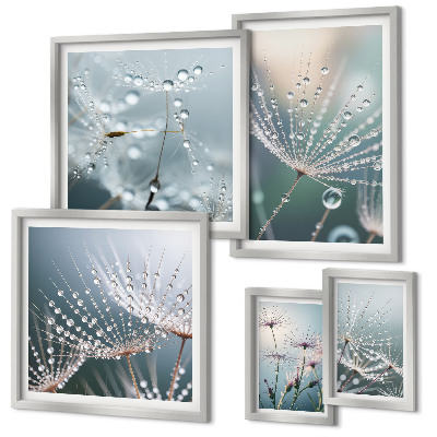 Set 5 slik v okvirju Minimalistične rastline Dewdrops