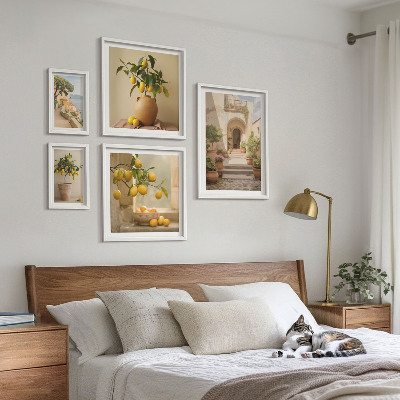 Komplet ujemajočih se slik Elegantni okraski iz citrusov