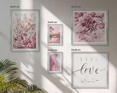 Set 5 slik v okvirju Cvetlični motivi, pastelni slogani