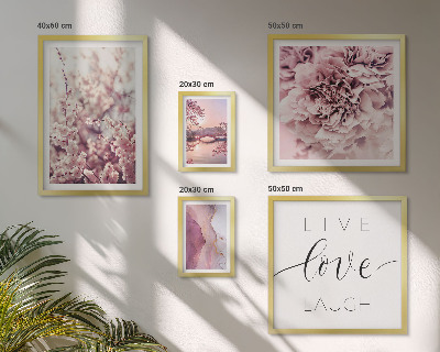 Set 5 slik v okvirju Cvetlični motivi, pastelni slogani